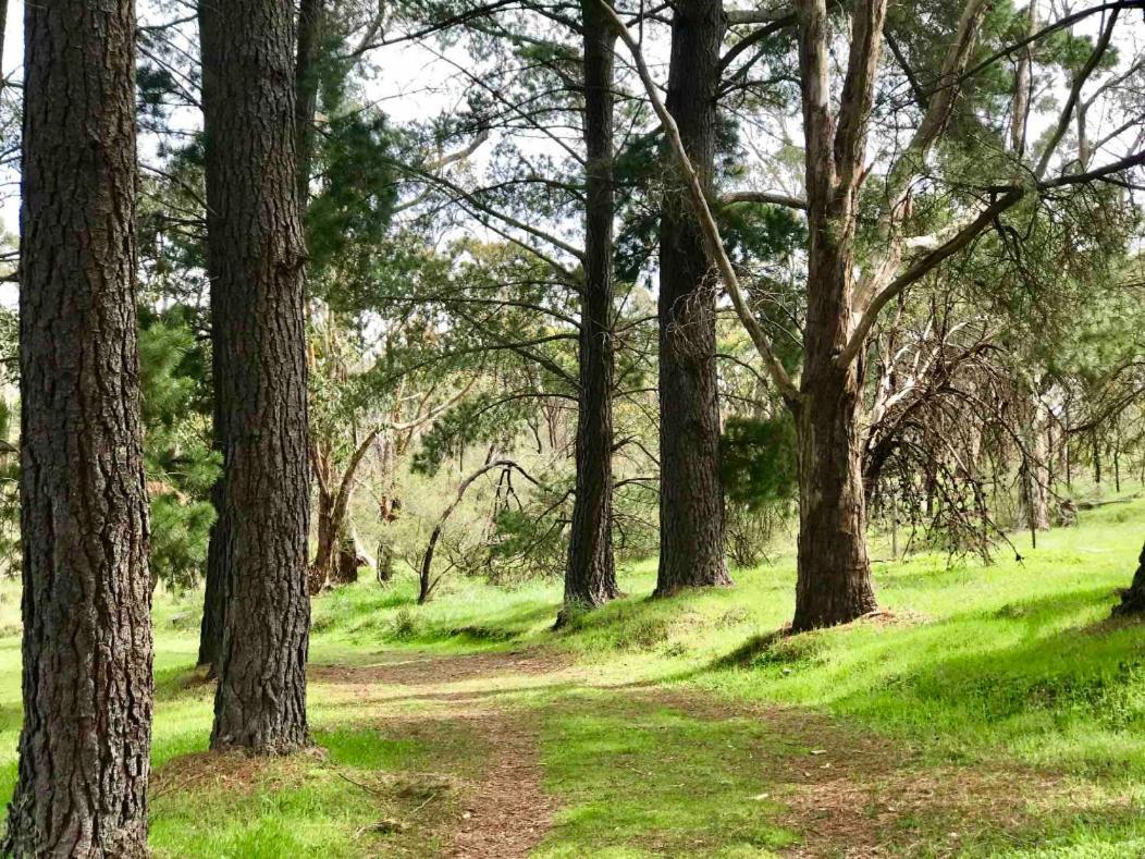 Adelaide Hills Escape Hotel Woodside Eksteriør billede