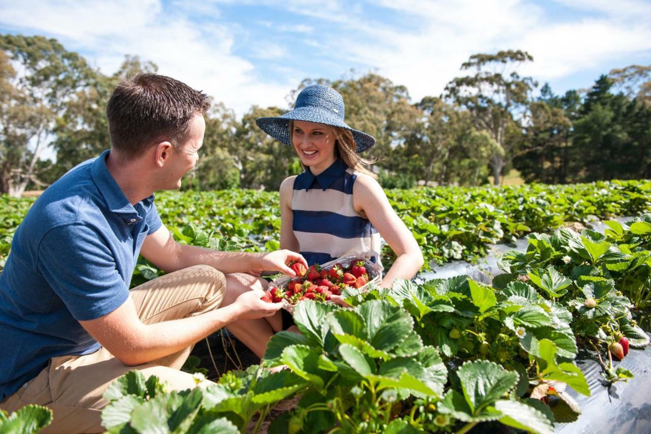 Adelaide Hills Escape Hotel Woodside Eksteriør billede